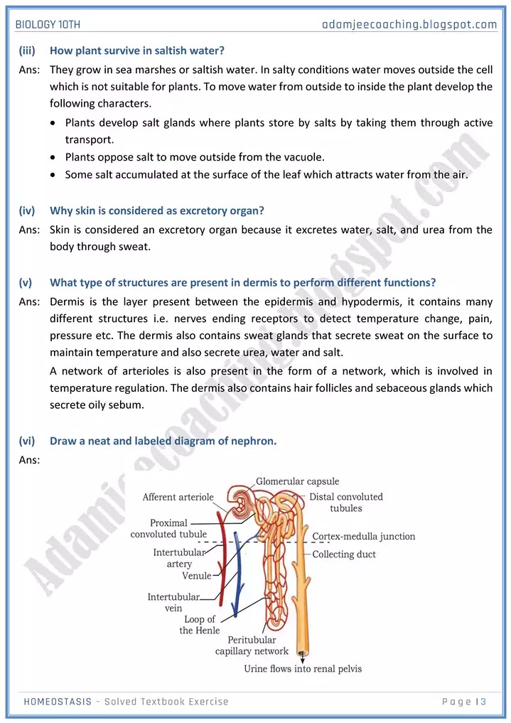 homeostasis-solved-textbook-exercise-biology-10th