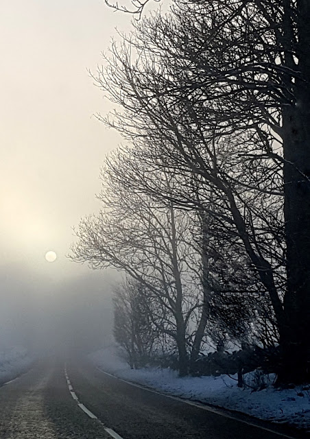 Snow, fog and sun make a beautiful combination