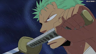 ワンピース アニメ ウォーターセブン編 257話 ロロノア・ゾロ Roronoa Zoro | ONE PIECE Episode 257 Water 7