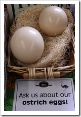 ostrich eggs rhinebeck farmers market