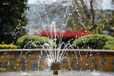 Fuente de jardín