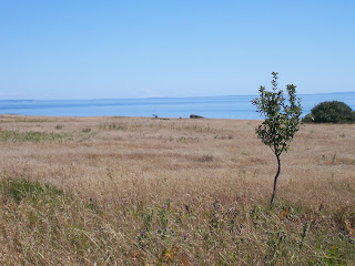 View from American Camp, San Juan Island