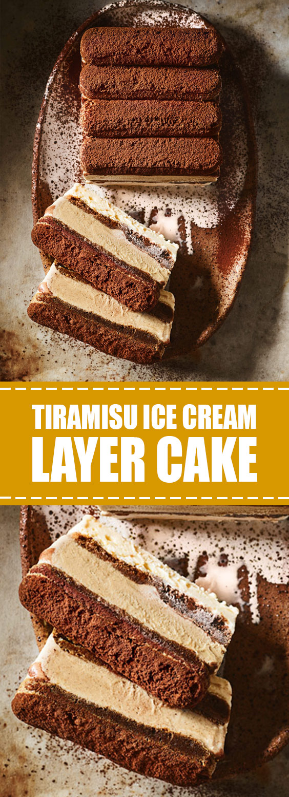 Tiramisu Ice Cream Layer Cake #dessert #icecream