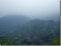 DSC00853
