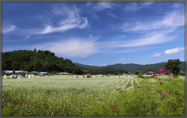 PyeongChang : Hyo Seok Cultural Festival