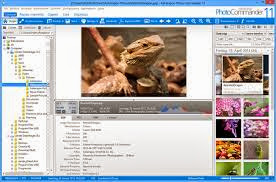 Ashampoo Photo Commander 11.0.4 Portable Free Download