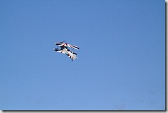 NZ - Nelson 032