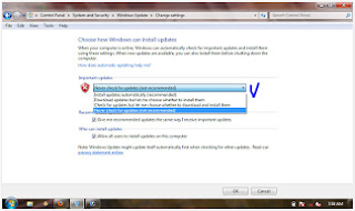 How to effectively disable the windows update