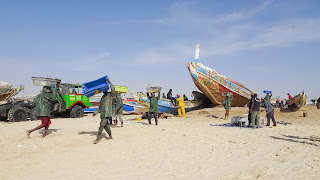 Export a lot of fish from Nouakchott