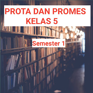 PROTA DAN PROMES KELAS 5 SEMESTER 1 2021 2022