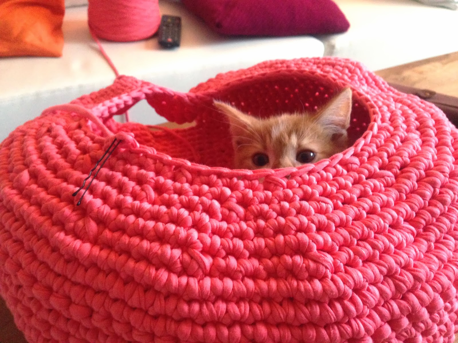 Lily Razz: Crocheted Cat Nest