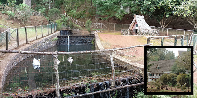 Queimadas Visitor Centre