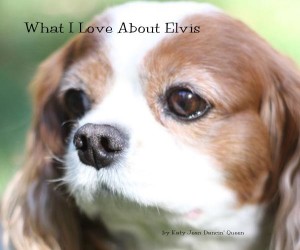http://www.blurb.com/b/3991490-what-i-love-about-elvis