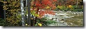 Desktop Widescreen Wallpaper 26