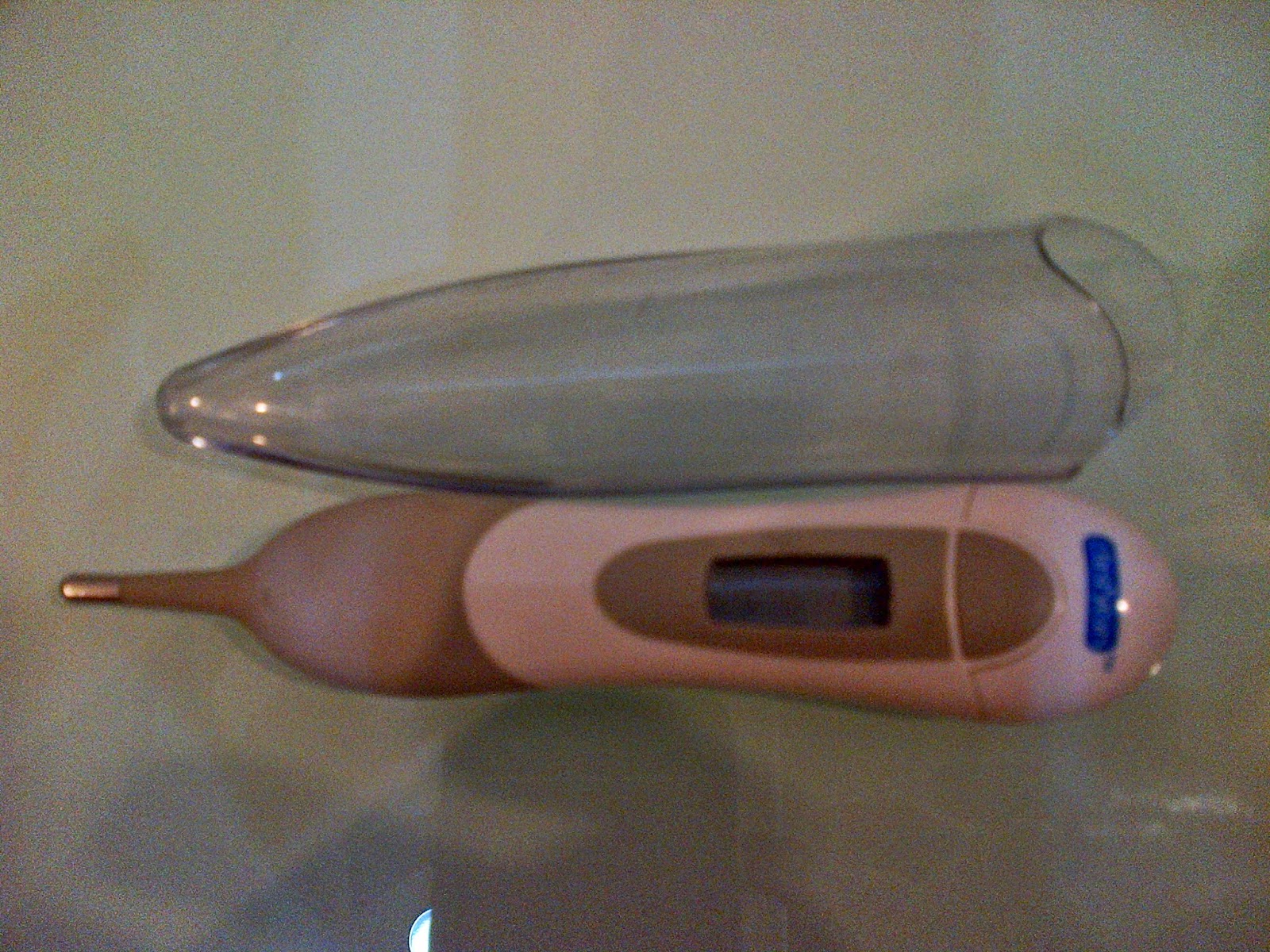 Ayumieka.blogspot.Com: Perlunya Thermometer ada kat rumah 