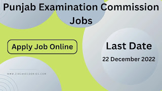 Punjab-Examination-Commission-Jobs