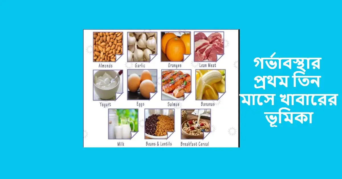 গর্ভাবস্থার প্রথম তিন মাসে খাবারের ভূমিকা