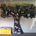 diy wooden tree bookshelf