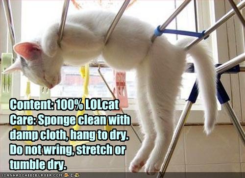funny cat picture - funny cat pictures-unny-pictures-your-lolcat-is-drying