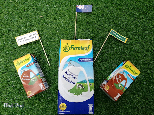 Susu Fernleaf UHT dari New Zealand