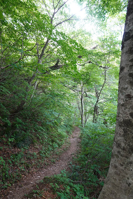 鳥取県西伯郡大山町大山　中国自然歩道