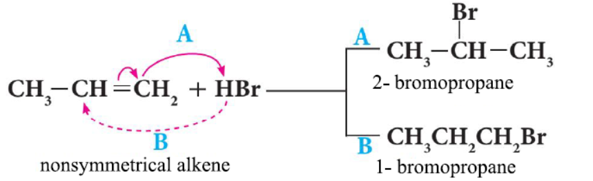 1. Addition of Hydrogen Halides to Alkenes