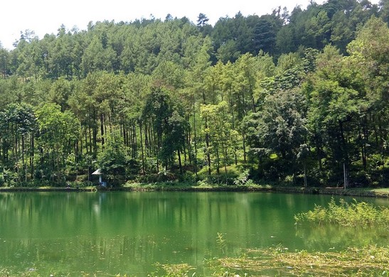 Telaga Rengganis Pemalang