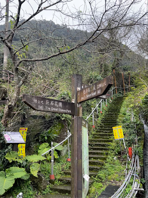 淡水楓樹湖巨石花園賞木蓮/ 石頭屋秘境賞櫻