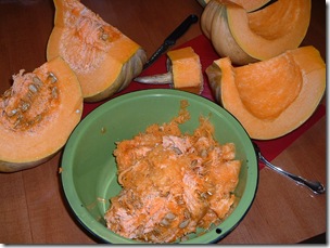 Fairy Tale Pumpkin 005
