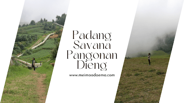 padang savana pangonan dieng