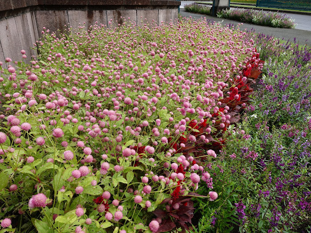 とっとり花回廊の入園ゲートの花壇