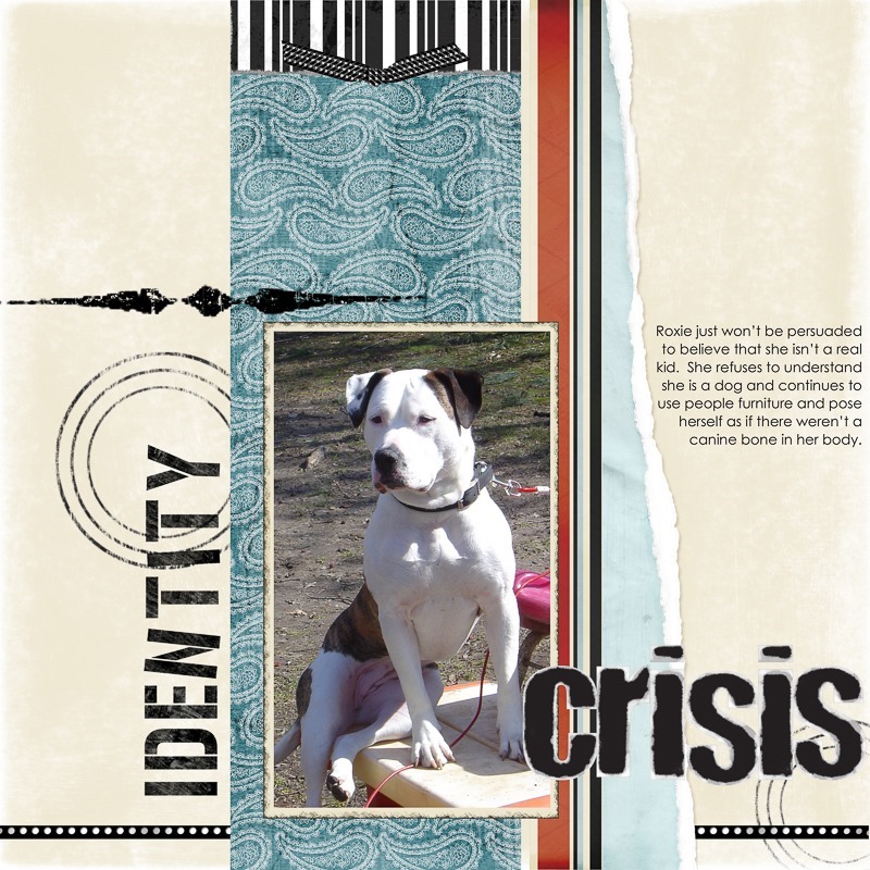 identity_crisis_copy_7