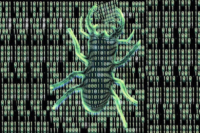 What Is Bugs & Viruses In Computers ?