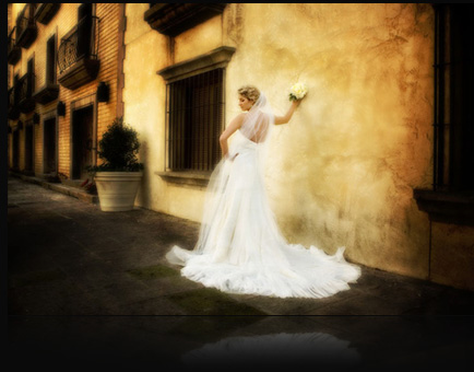 Professional Portrait Wedding Commercial Photographer