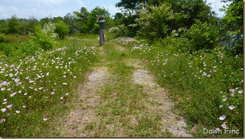 Boy scout woods and Smith Oaks_056