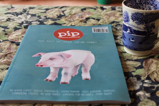 PIP is not your run-of-the-mill magazine