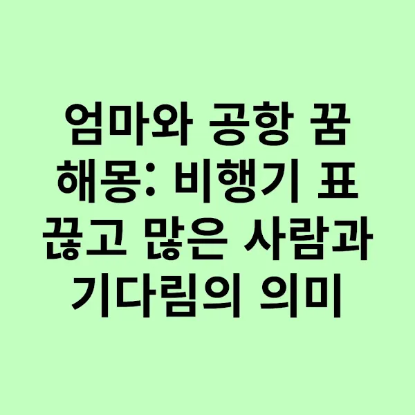 엄마와 공항 꿈 해몽 비행기 표 끊고 많은 사람과 기다림의 의미