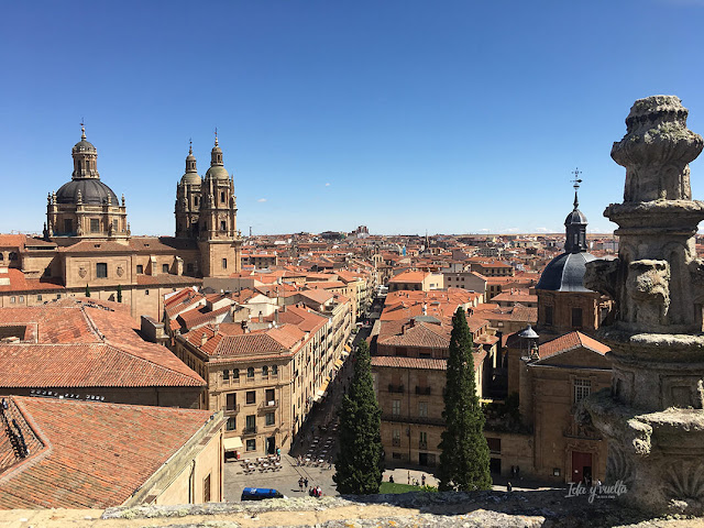 Vista desde lo alto de la Catedral Nueva