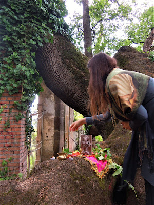 Yogini e Alberi Sacri - Associazione Culturale Orchestès