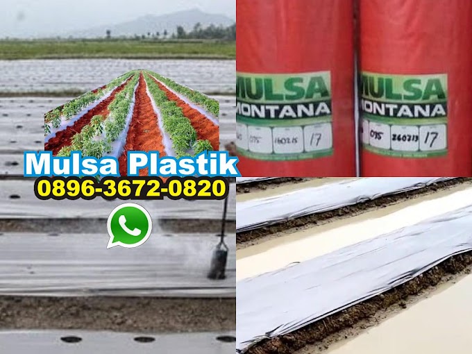 Mulsa Plastik Lampung