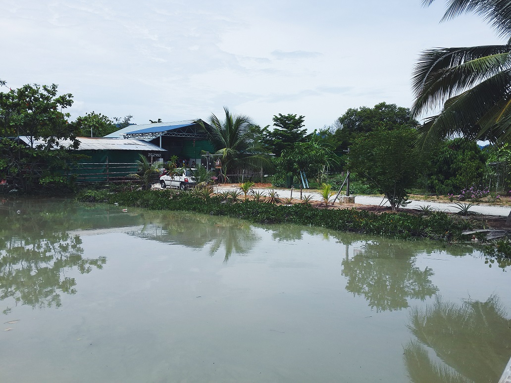 The Nonya Diaries: Balik Kampung at Balik Pulau