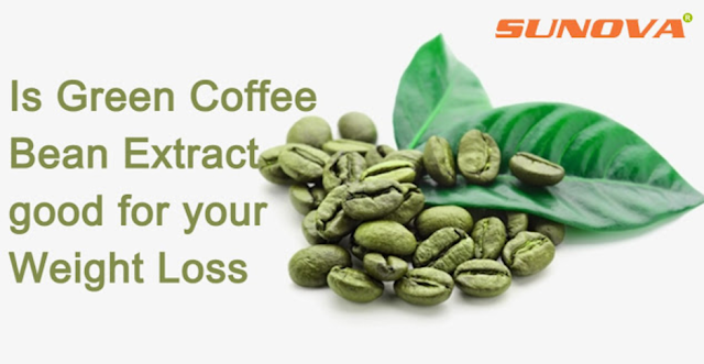 Sunova - Green coffee bean extract