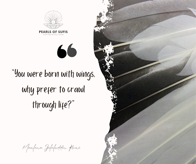 "You were born with wings, why prefer to crawl through life?" - Maulana Rumi