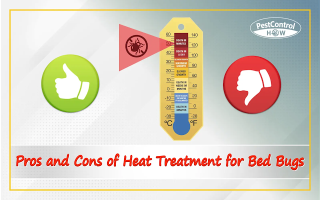 10-pros-and-cons-of-heat-treatment-for-bed-bugs
