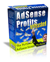 Adsense Profits Unleashed with Master Resell Rights