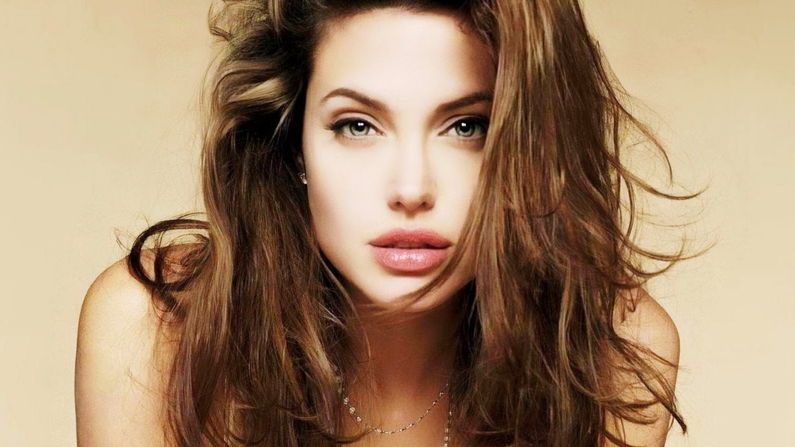 Angelina Jolie HD wallpapers Free Download