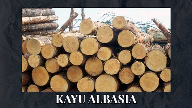 Fungsi Kayu Albasia