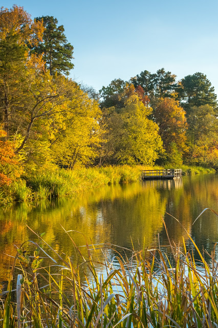 Tyler State Park Lake