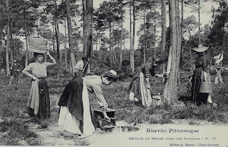 pays basque autrefois pin résine labourd forêt