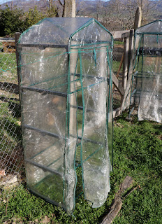 The old greenhouses up and strapped down